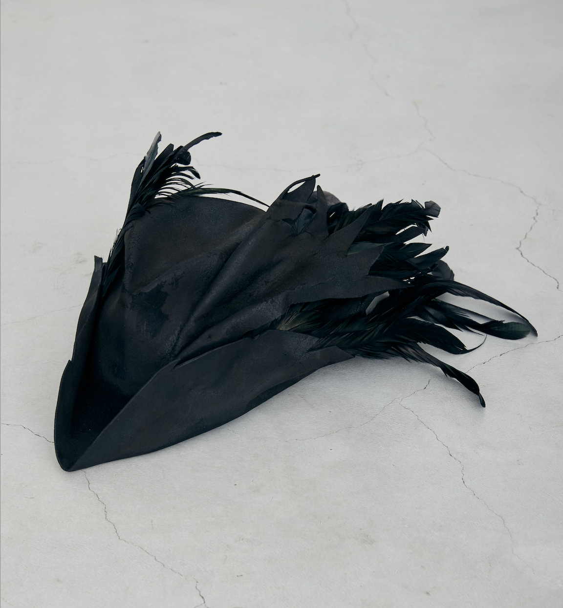 A1 [HFSS-HT003 Bird Hat]