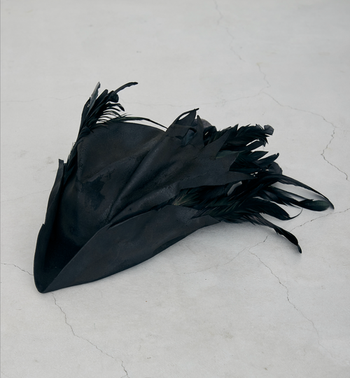A1 [HFSS-HT003 Bird Hat]