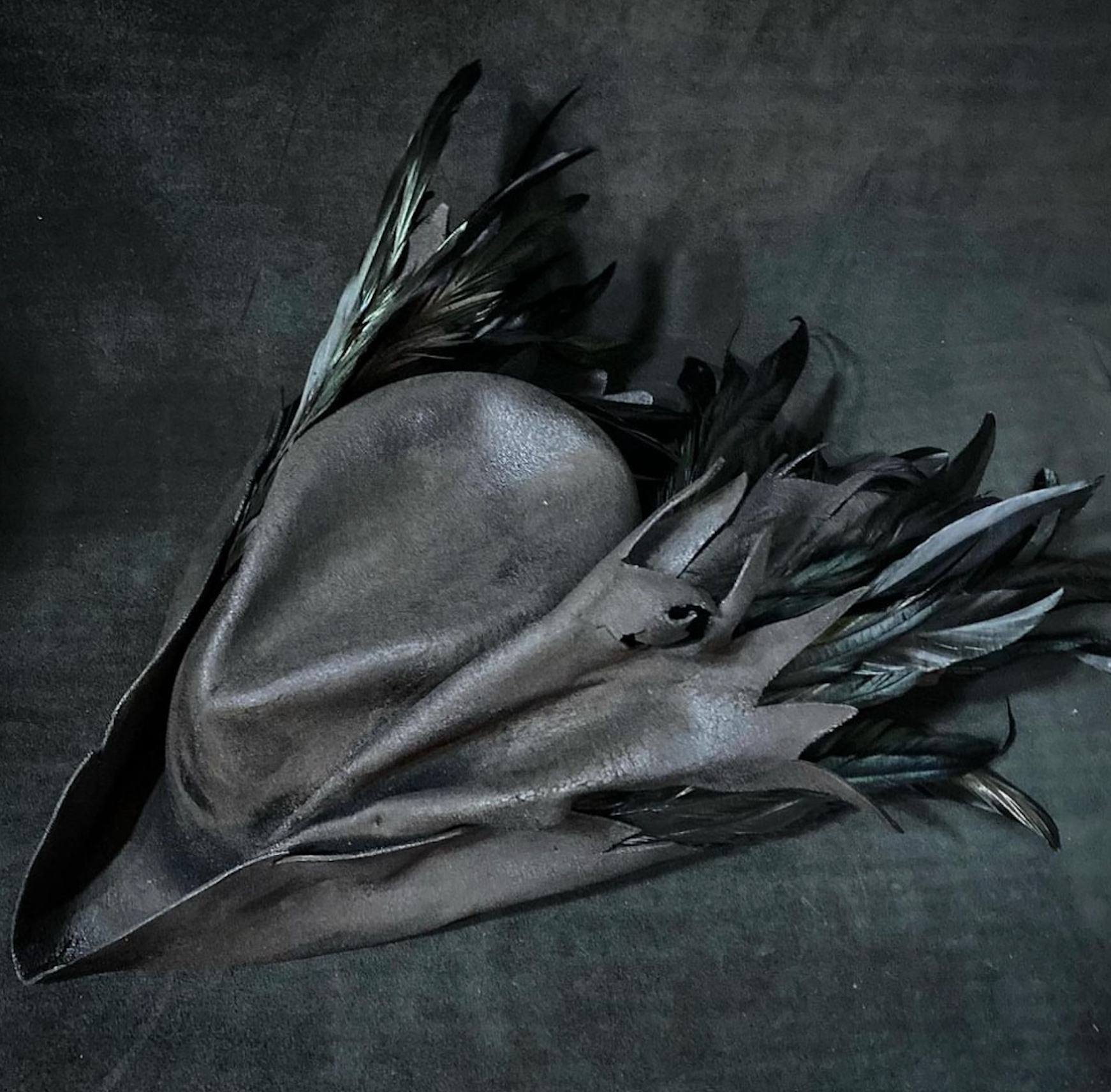 A1 [HFSS-HT003 Bird Hat]